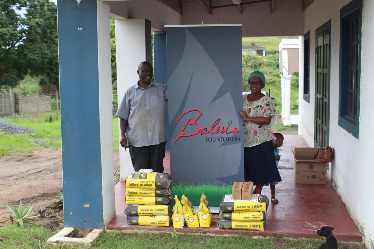 Balwin Foundation Timeline Balwin Foundation Timeline