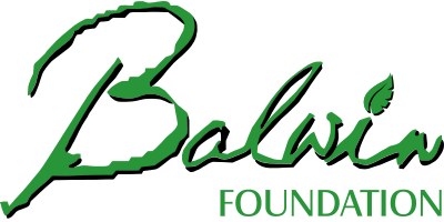 Balwin Foundation